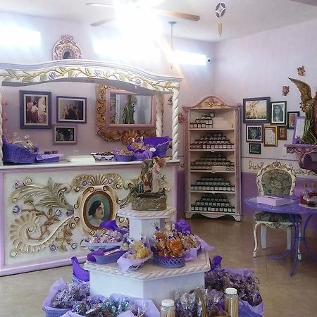 برنال Hotel Vida En Rosas المظهر الخارجي الصورة