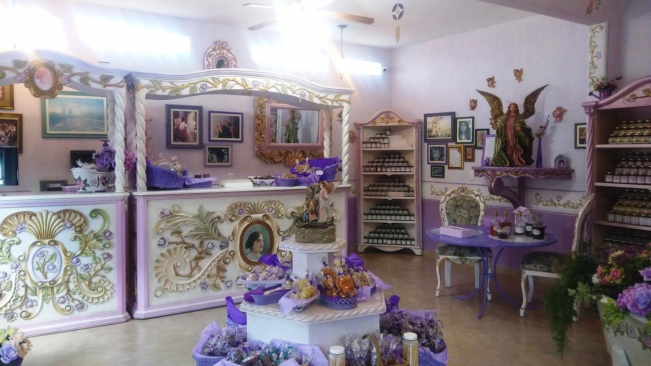 برنال Hotel Vida En Rosas المظهر الخارجي الصورة
